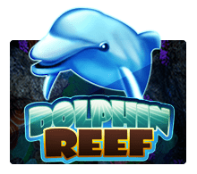 mega888 Dolphin Reef