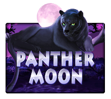 Panther Moon Slot-mega888tm