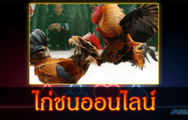 mega888-ไก่ชนออนไลน์