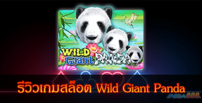 MEGA888-รีวิวเกมสล็อต Wild Giant Panda