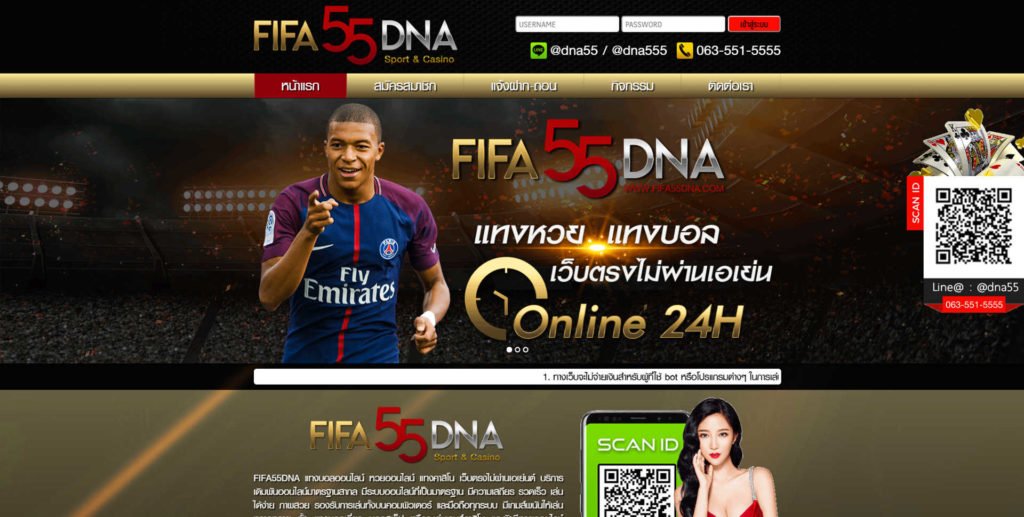 FIFA55DNA
