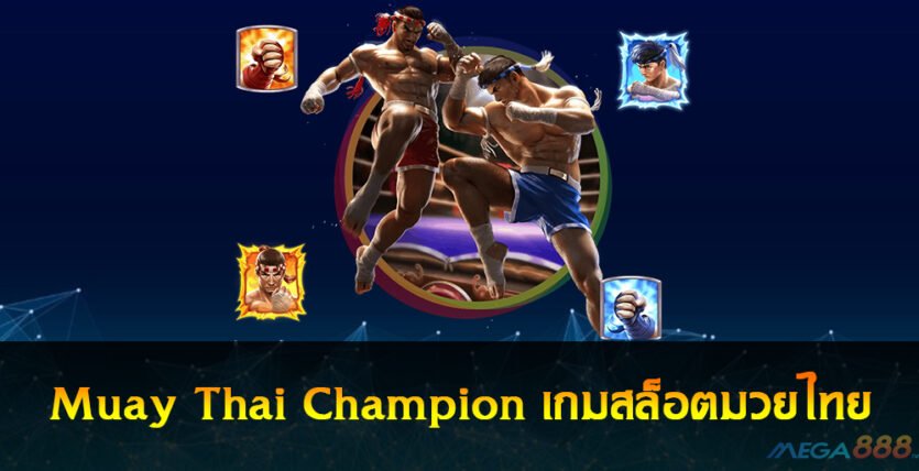 Muay Thai Champion