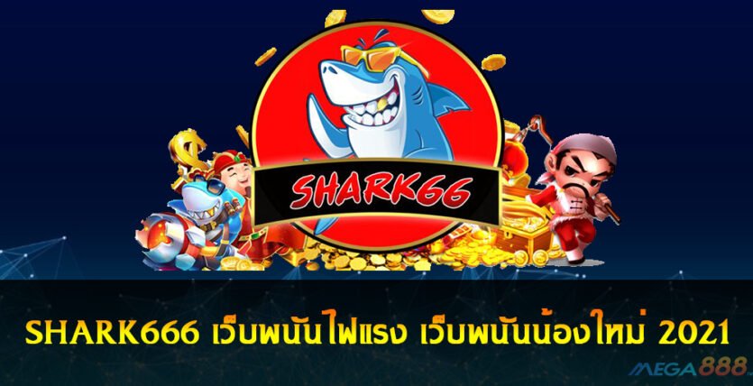 SHARK666