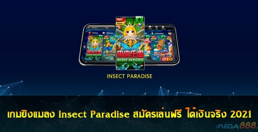 Insect Paradise