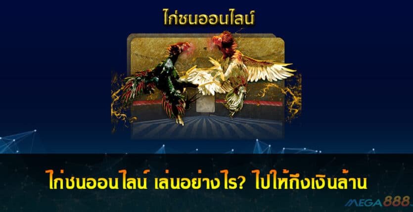 ไก่ชน ออนไลน์